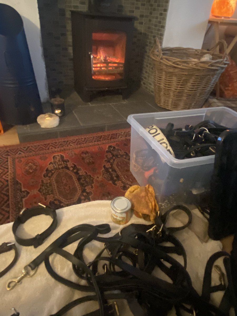amydeemo's tweet photo. Well the weather is a bit ๐ฉ.....never thought the ๐ฅwould be lit near the end of May. Sunday evening kit sort & giving my leather kit a much needed clean after all the rain. Found Jinxโs first tracking harness I brought her in Jan 2020, she now wears PD Dukeโs ๐ถ๐ #PupToPD https://t.co/jGEPpcxbCK