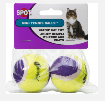 DandDPets tweet picture