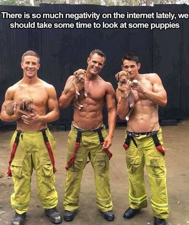 Taylor Lee tweet media