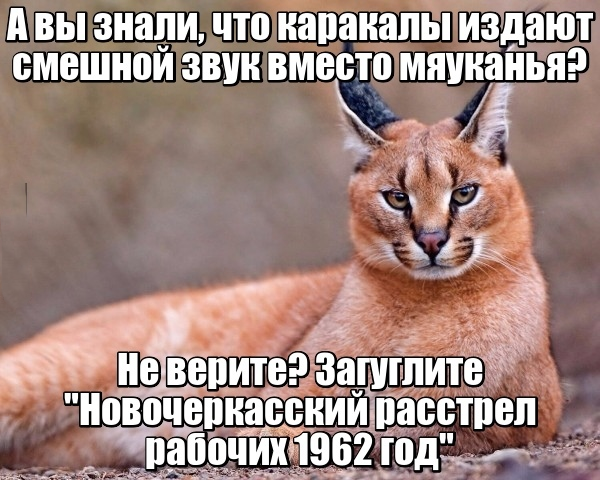 E2GKLNQXsAEbBGR?format=png&name=small