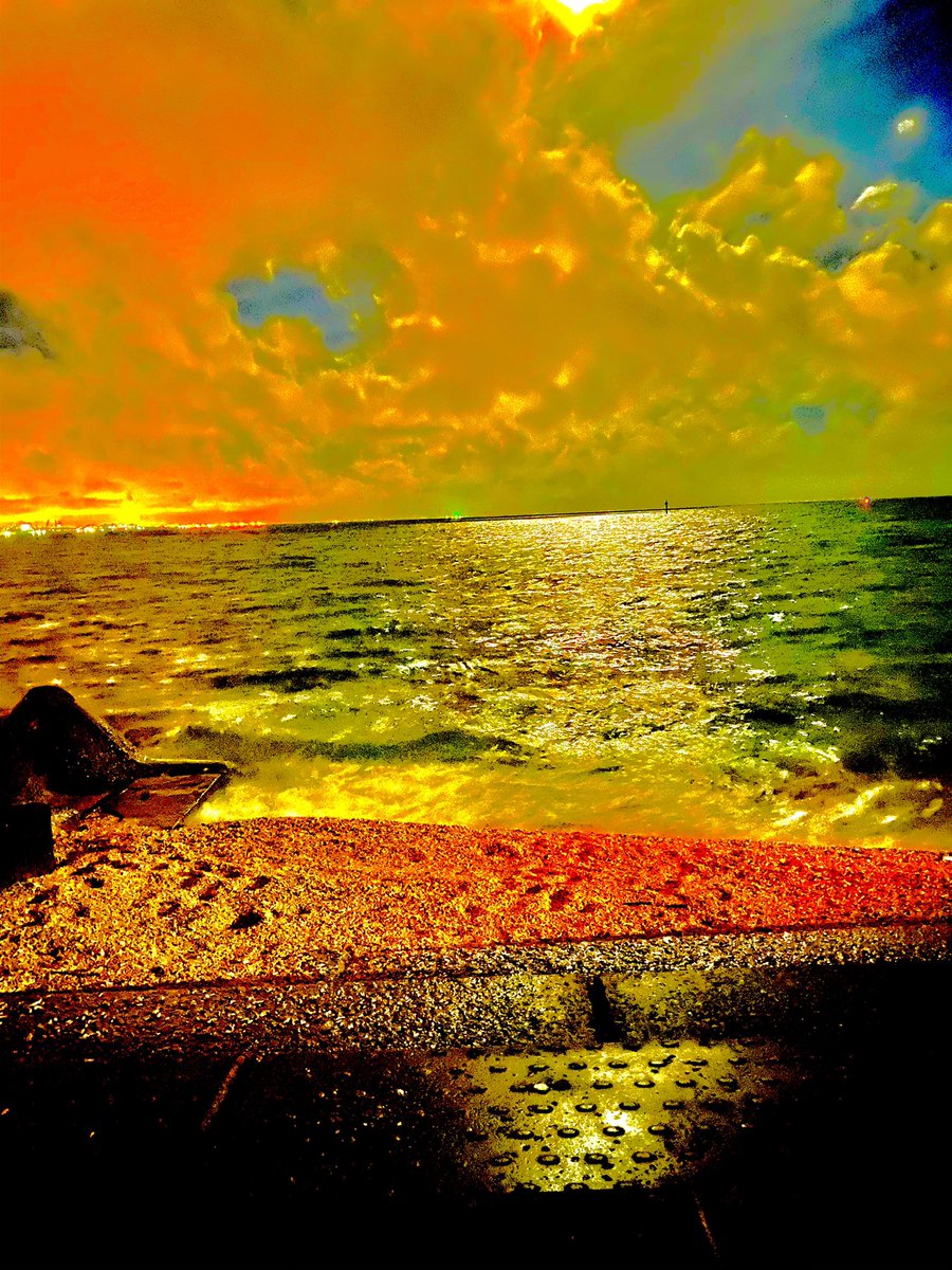 シドニーワラビー通り42pシャーマン Twitter Search Twitter シドニーワラビー通り42pシャーマン Twitter Search Twitter