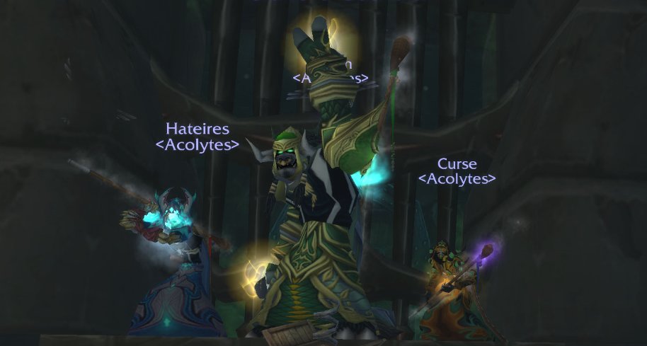 acocommunity's tweet photo. HAROO to Hateires, Griffin and Curse on completing the three Tiki torches for the Atiesh Stave!
#worldofwarcraft #WoWClassic https://t.co/kox7luHCtf