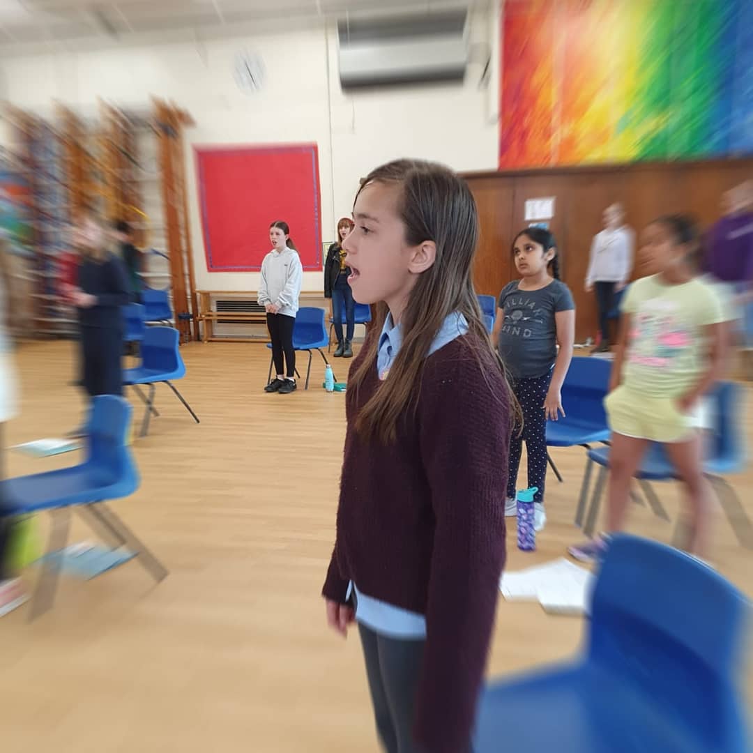 Singing Community of Choirs tweet media