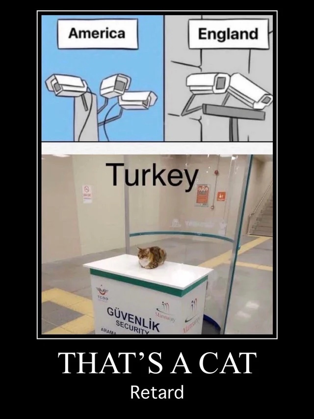 E2GMM9SWUAMID3N?format=jpg&name=900x900