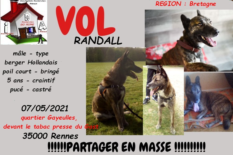 Kate23170's tweet photo. merci de RT pour nous aider a retrouver RANDALL volé a Rennes 35000 le 07/05/2021 svp https://t.co/gipVekynk2