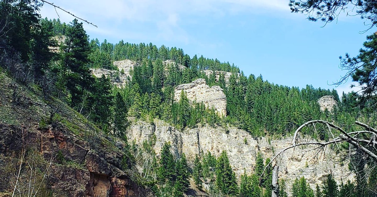 SpectorRyan3783's tweet photo. A nice #hike in #spearfish #canyon #nationalscenicbyway #nps #nationalpark #nature #waterfall #southdakota #hifromsd #tourism https://t.co/SKlxH0CEiE