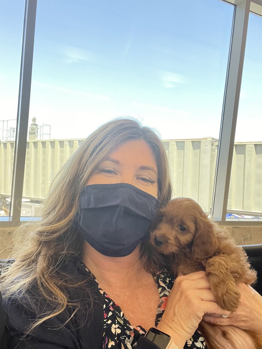 Taking our newest on his first plane ride to go home! #TMobilePets #ChannelResort