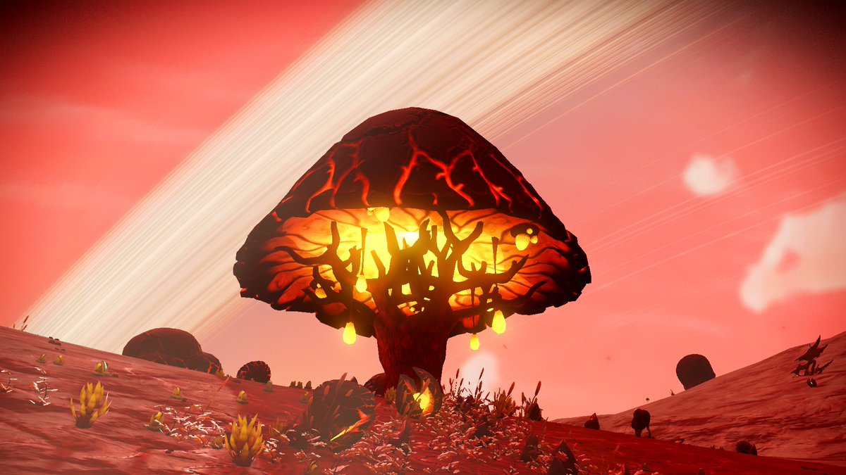 mel_from_sorna's tweet photo. I found a cool planet on my Expedition Tour today! A little bit closer to the Normandy now! <3 #nofilter #smallstreamer #NoMansSky #Gamer #Screenshotmode #Screenshot #Explorer #Traveller #VGPUnite #ArtisticofSociety #GamerGram #WorldofVP #VPEclipse #VPContext #PhotoDenUC https://t.co/R2qC3ADpAM