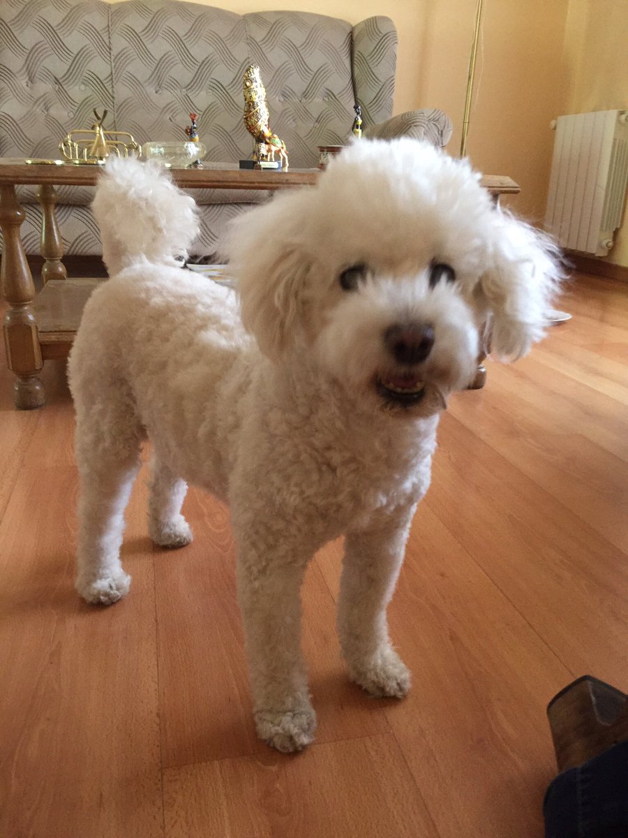 Griselda Uruñuela tweet media