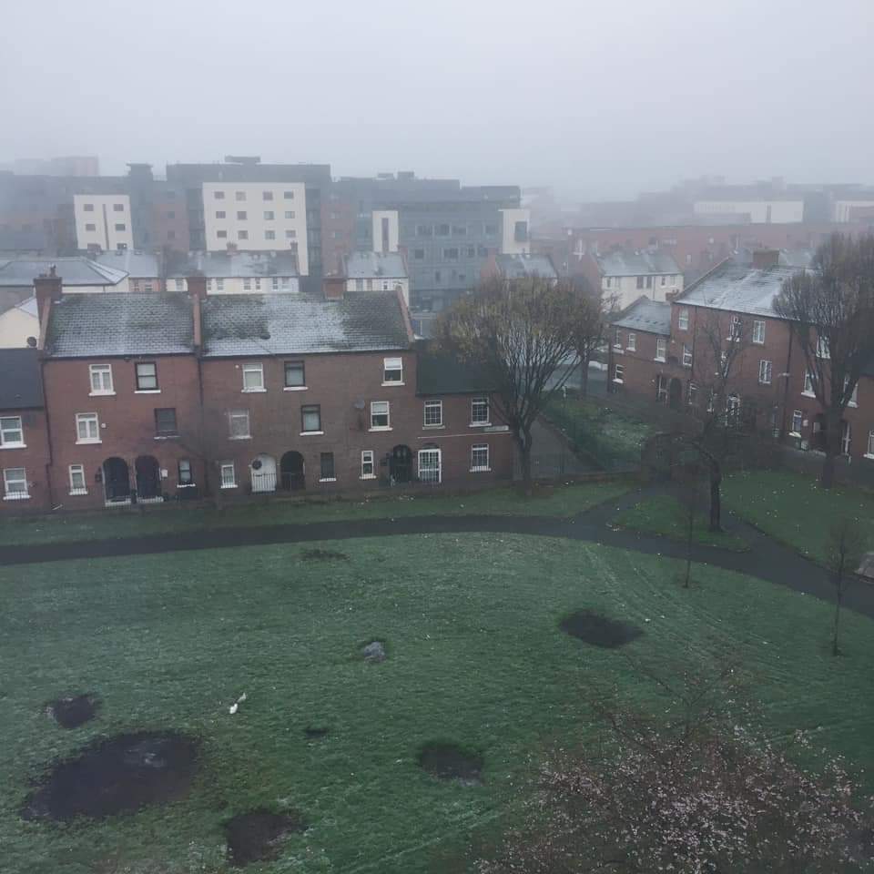IveaghBingo's tweet photo. @DCCParks_Biodiv Why can't we see this in our Park beside us here in Cabbage Patch Gardens in Dublin 8? @CByrneGreen  @chrisandrews64 @DannyByrneFG @labour @LabourDubSC @DubCityCouncil @eddiemcguinness https://t.co/s6i0TSvCHJ