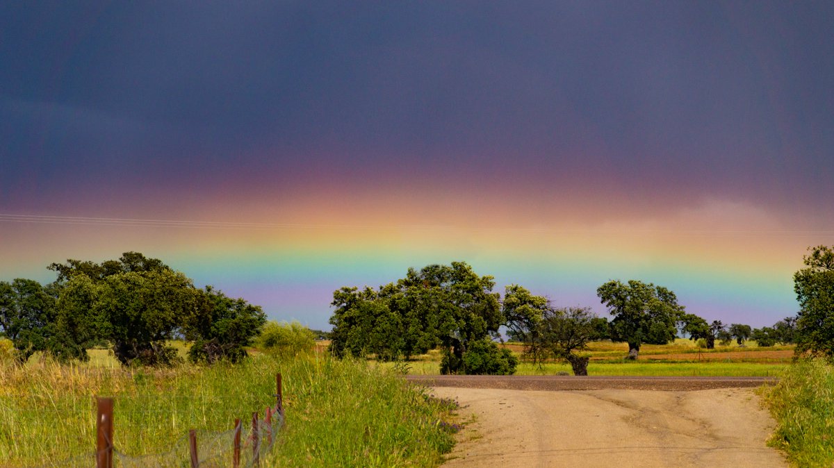 annaispascual's tweet photo. ¿Alguna vez habíais visto un fenómeno como este? No sé qué es, ¿quizá una especie de "arcoiris rasante"? Necesito ayuda. https://t.co/EhJEJc95m0