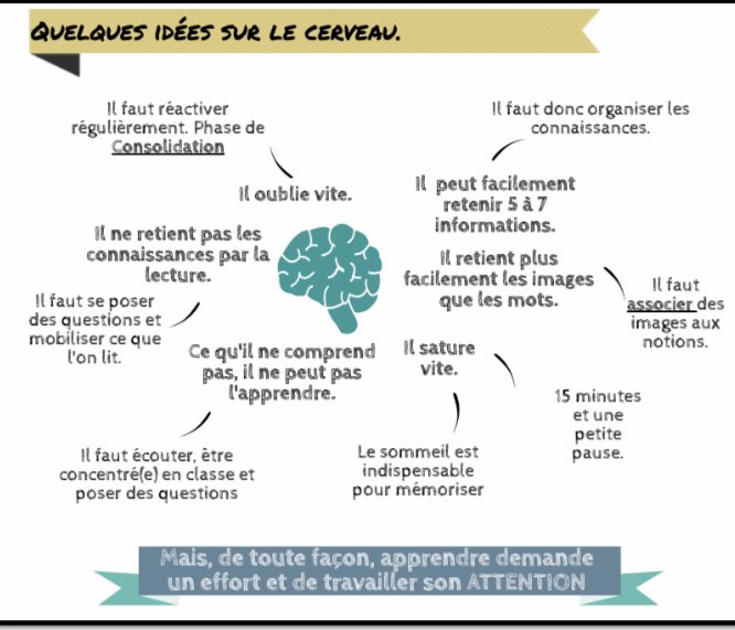 isafil's tweet photo. Ressource précieuse ❤️ 

Ce guide est un concentré de pistes pédagogiques pour aider les élèves dans leur travail personnel, en #autonomie à la maison et dans le dispositif « #devoirs faits 👍

👉 https://t.co/FAFhPciehq Merci @AcBordeaux Via @chrisclioreims https://t.co/Tkg66tUecu