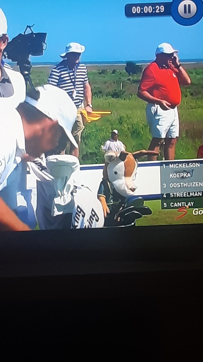 chud1290's tweet photo. @Louis57TM #PGAChamps go king louis.....go bokke https://t.co/BlQhi2LFZ1
