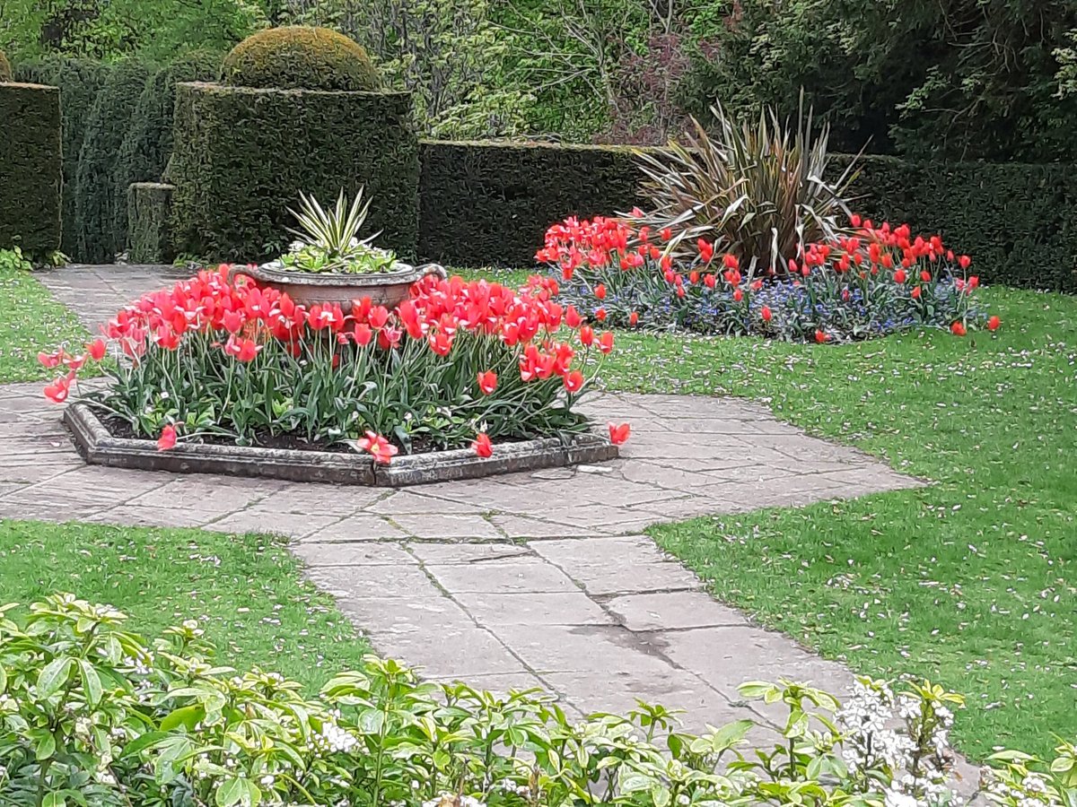 SarahHumphries3's tweet photo. @jesscu01 Hope you feel better soon. ❤ Thought I'd send you pics from my day trying to find some signs of spring!! https://t.co/YLN9OzTR5A