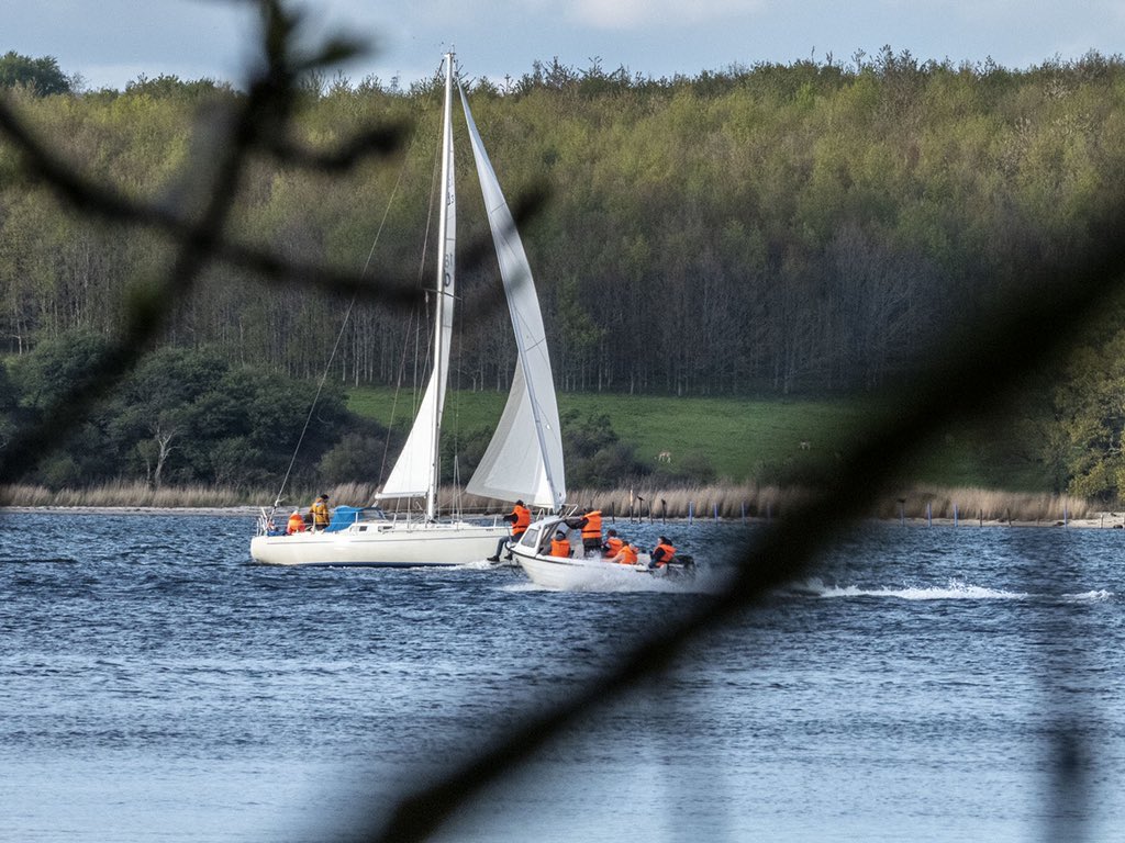 dittmann1948's tweet photo. En skøn tur langs Lillebælt ved G detaljer langs strandkanten, samt mange faldne ældre træer, hvor man kan lade fantasien få frit løb. #skønhverdags oplevelse #denskønnenstur #gammelålebo #freelansfotograf https://t.co/jQHf7DI2RI