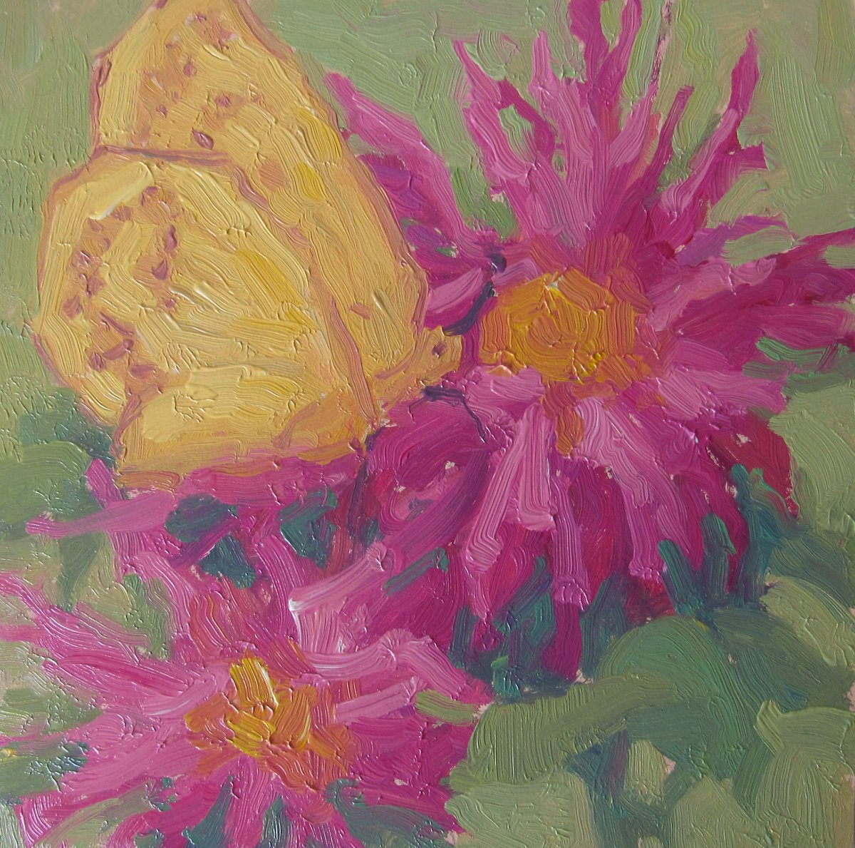 Happy Sunday to all gardeners and lovers of the natural world!!! These are Bee Balm flowers and a yellow butterfly that I painted in my garden this week.  6 x 6 in. oil on panel        David Paul Elsea