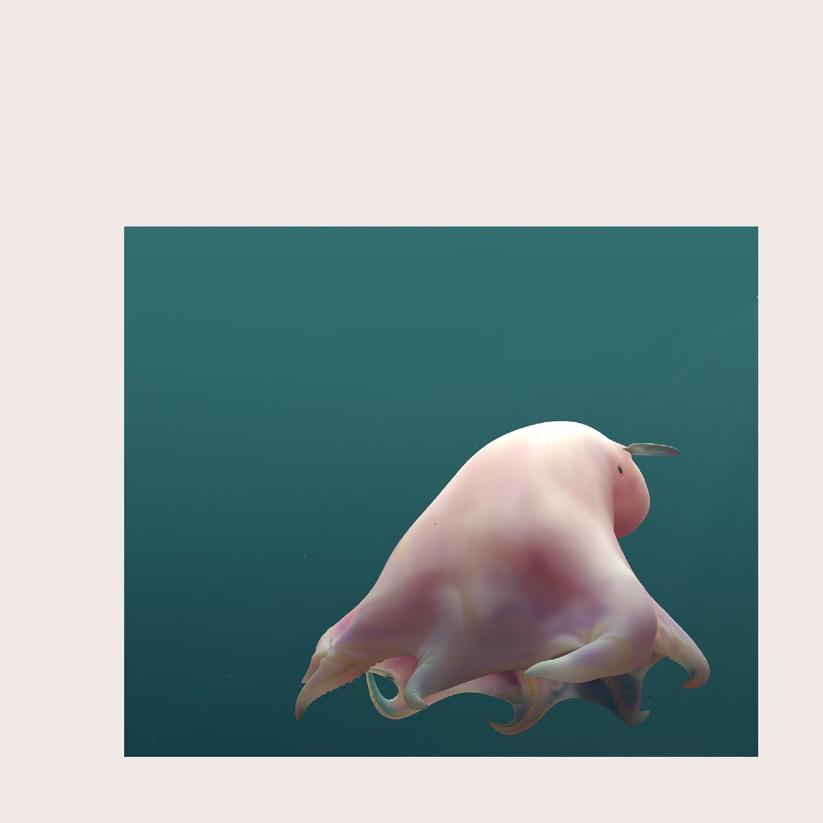 Grimpoteuthis | dumbo octopus 3D sculpt | Dec. 2019 

#grimpoteuthis #zbrush #cinema4d #jugubiovis