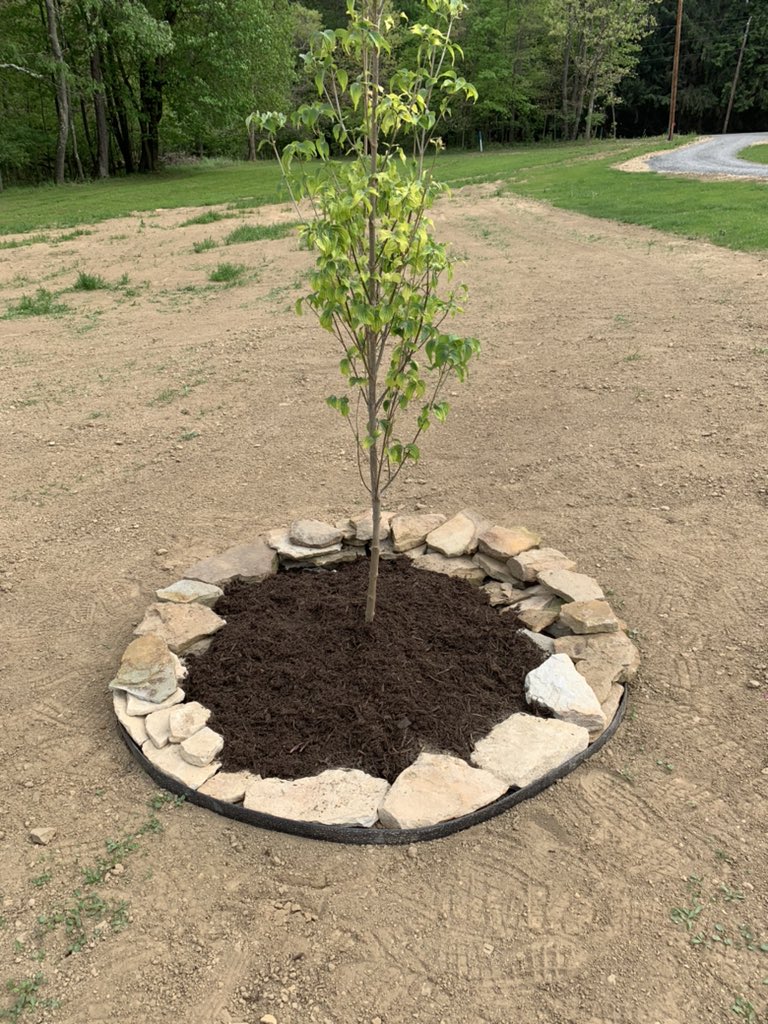 King of Spades Landscaping (KingofSpadesLa1) Twitter