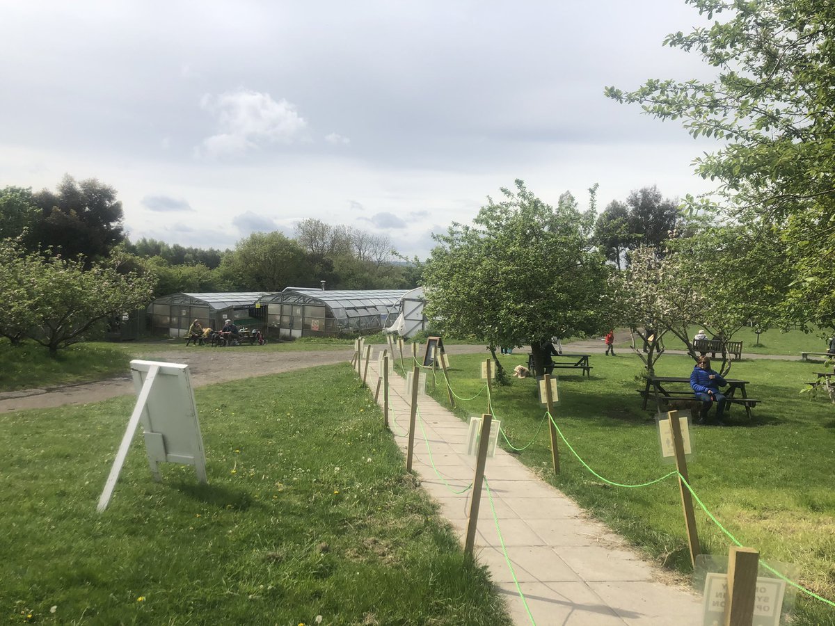 Debbie Souter tweet media