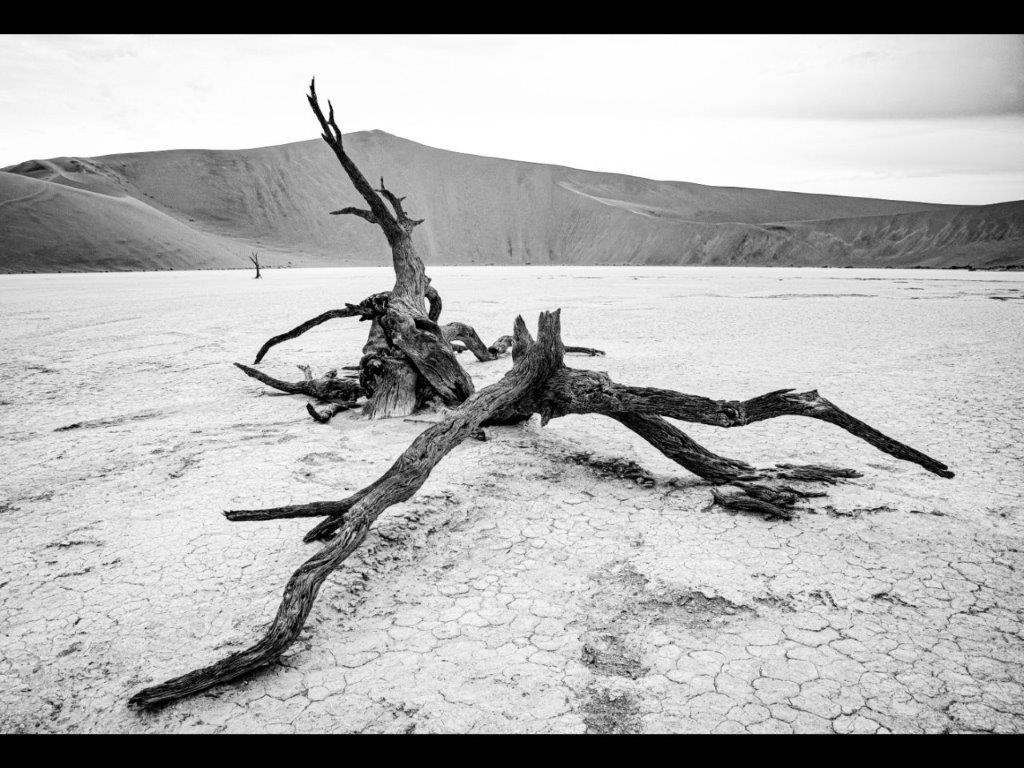 Recently held annual 'Set Subject' comp. Rebecca Entwistle did a wonderful job judging! Thanks Rebecca. This year the DPI and Prints sections  won by same Photographer. 2 powerful images of the pain and struggle of trying to survive in a desert. Well done L.Thornton.