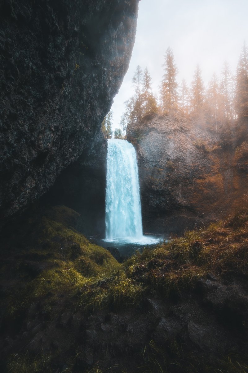 josh turner tweet media