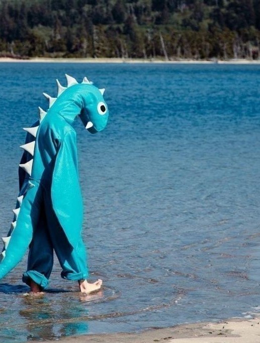 Forgot to say i have a twitch lmao, need to buy new computer for it though