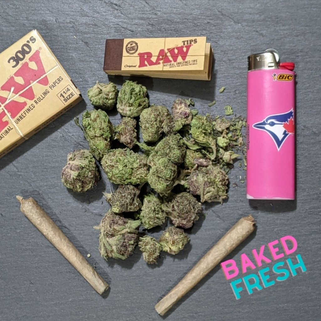 StonerGirlTees's tweet photo. Stay High 💚🪴My loves  💘💋
#420friendly #pot #cannabis #canada #ontario #marijuana #weed #high #highlife #highsociety #maryjane #thc #stayhigh #blunt #blunts #wakenbake #pothead #justblazeig #staygreen #canadianstonergirl #stonergirl #dopequeen https://t.co/oQjritSxf0