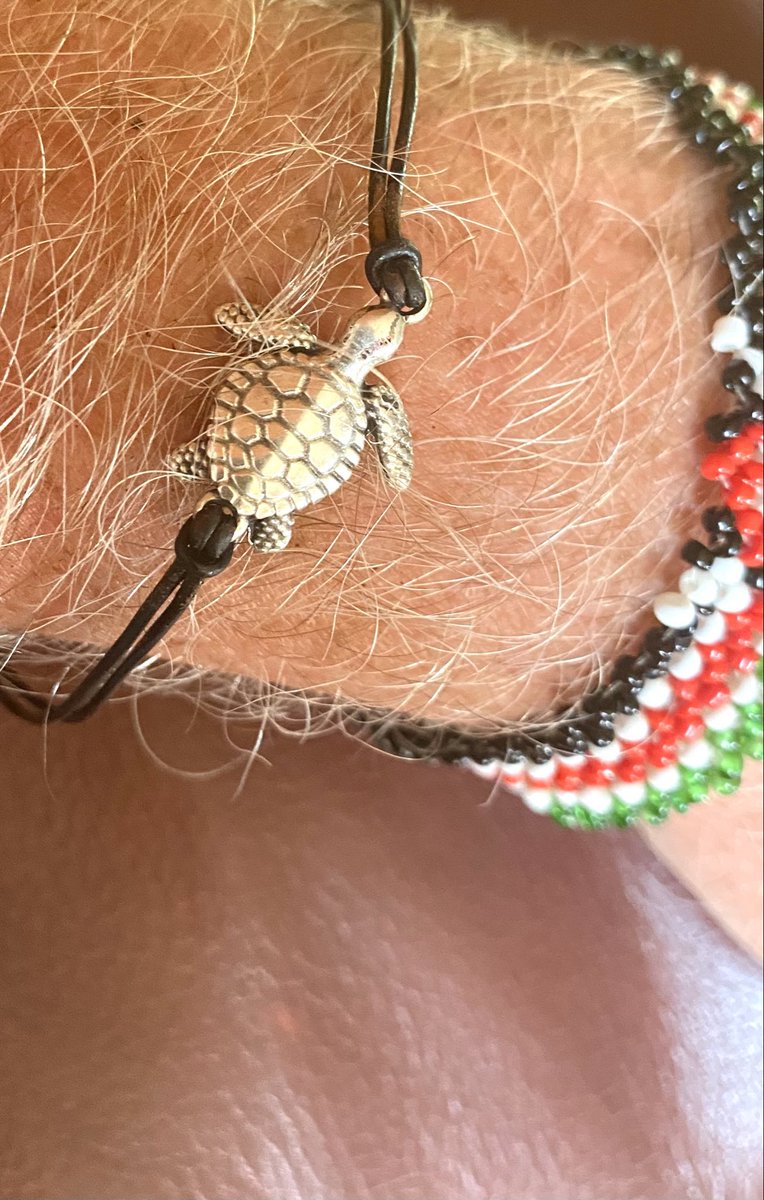 winks2t's tweet photo. #worldturtleday2021 how did you Shellebrate?#WorldTurtleDay https://t.co/zpscz0dqI1