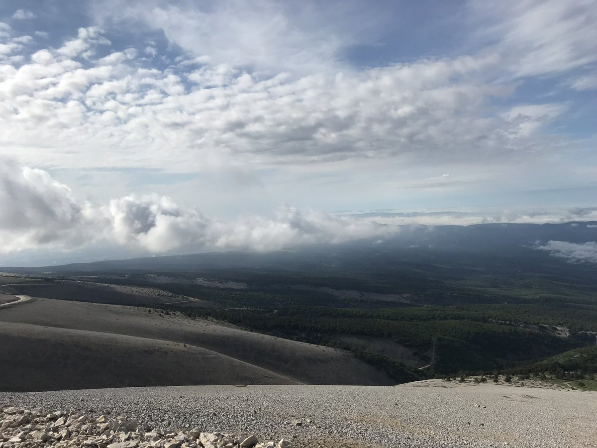 Maringe Vogel tweet media