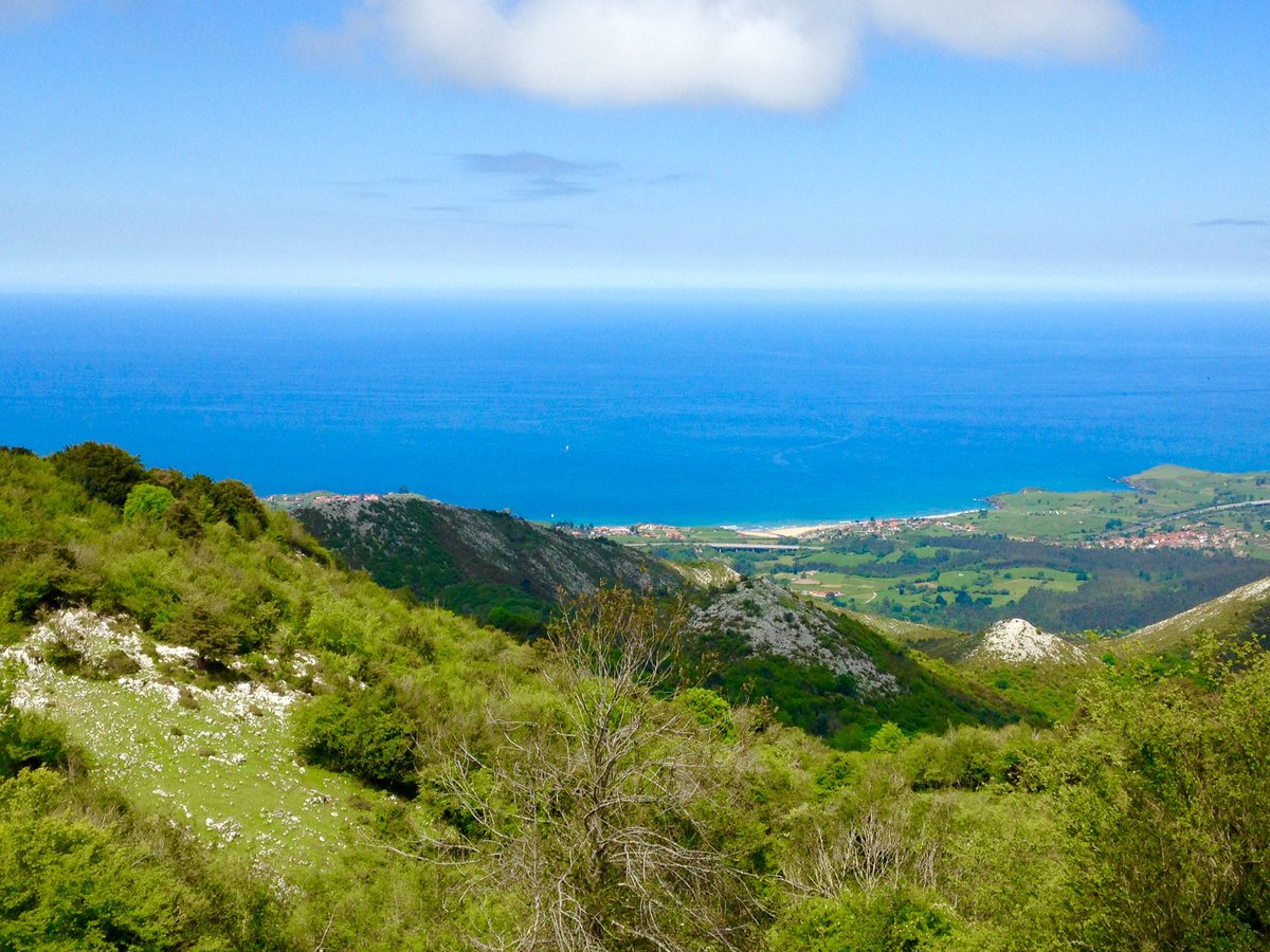 gmauseva's tweet photo. #paisajes #costa #Asturias #bosque #montaña https://t.co/4jAVuHgeuB