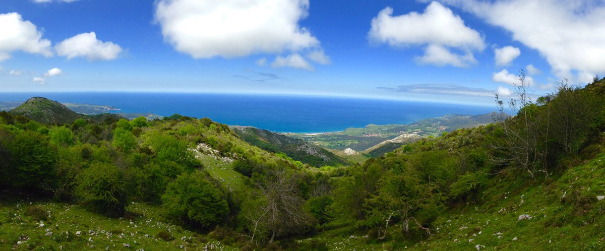 gmauseva's tweet photo. #paisajes #costa #Asturias #bosque #montaña https://t.co/4jAVuHgeuB