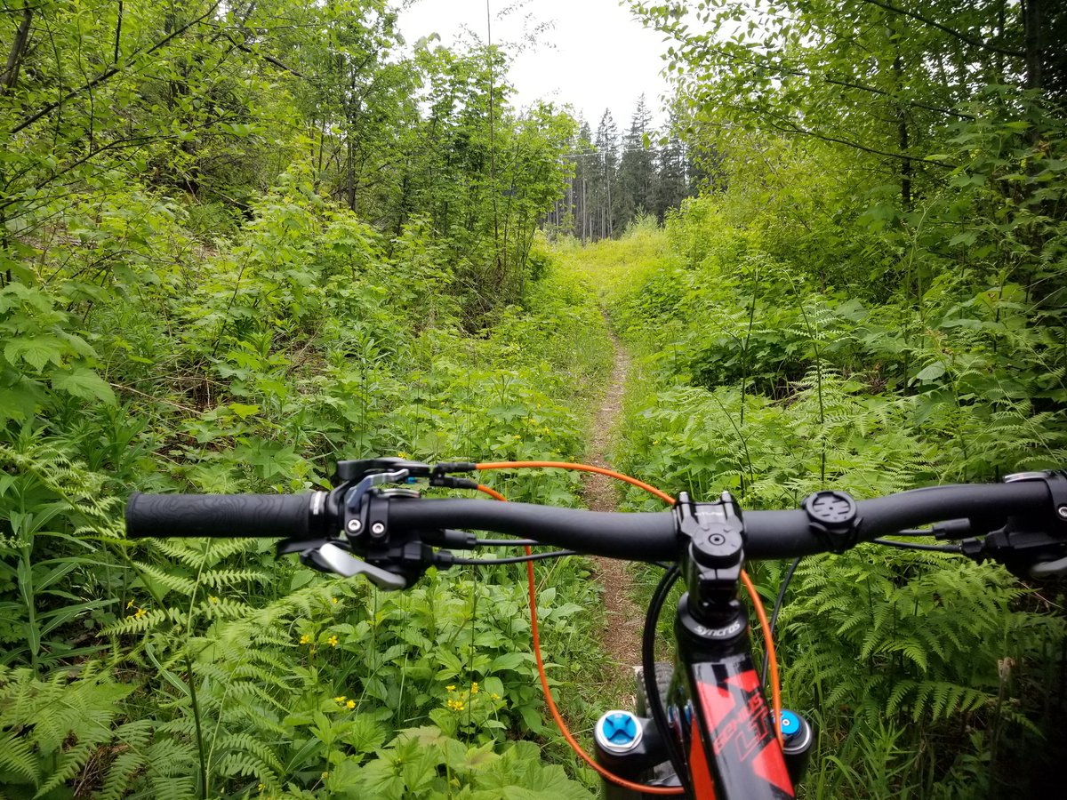 trailpovguide's tweet photo. A day of exploration in the mountains. Lush meadows and old school XC trails! #mtb #mountainbiking #mtblife #squamish #adventure #trails https://t.co/cqD9qDkqrk