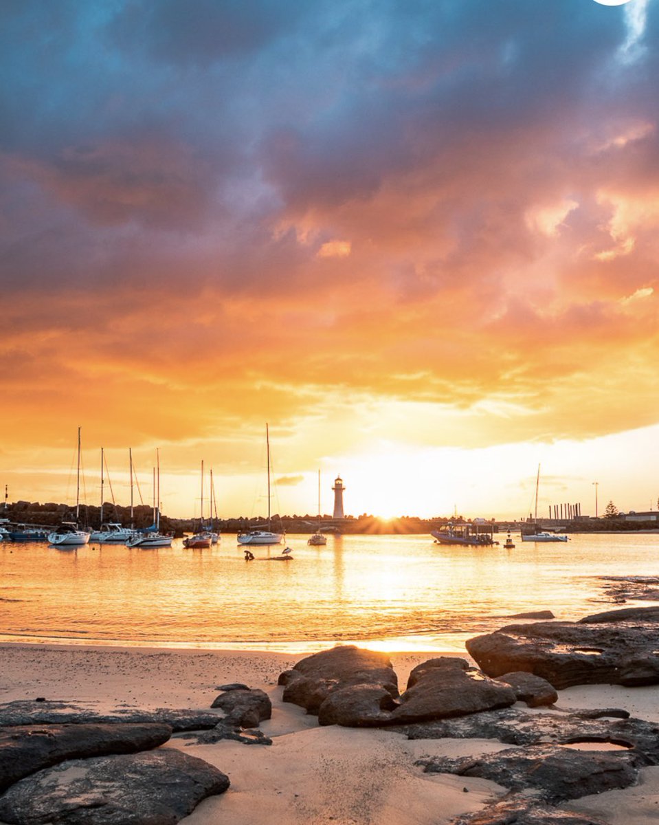 The GODS have spoken , the BITCOIN Bottom is in