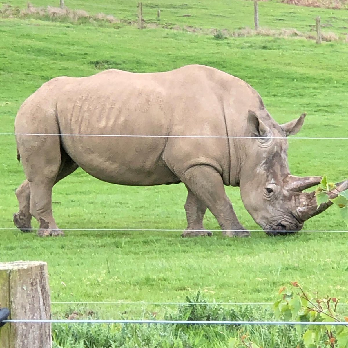 would6696forher's tweet photo. @jeni54321Boom Today at a safari park. Birthday treat for my youngest. https://t.co/OjsOpMVVQ7