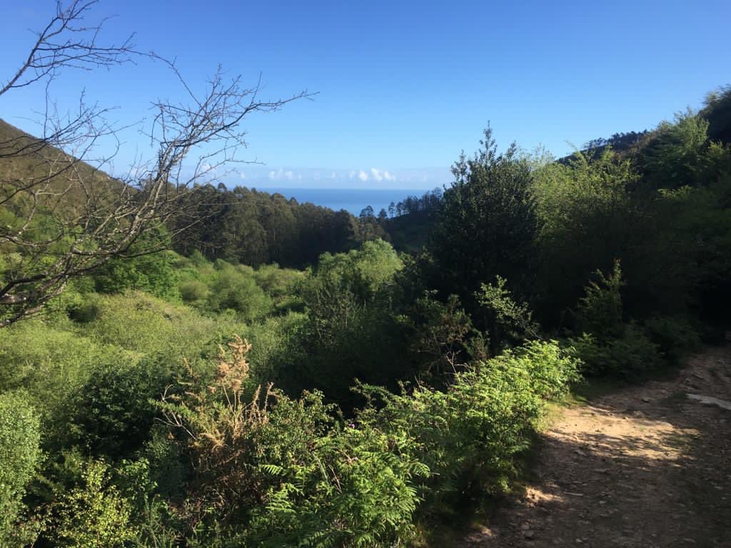 gmauseva's tweet photo. #paisajes #costa #Asturias #bosque #montaña #senderismo https://t.co/b81qVYKr4q