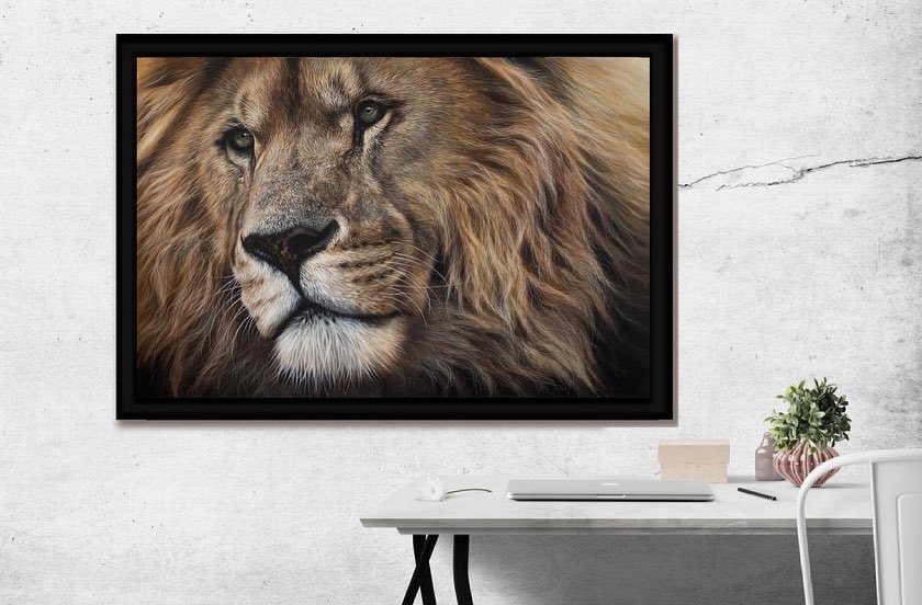Happy weekend everyone! My latest lion painting is complete 🦁.... more lions and tigers coming soon 😄

#art #artista #artwork #painting #acrylicpainting #animalartists #artstudio #wildlifeart #lions #lovelions