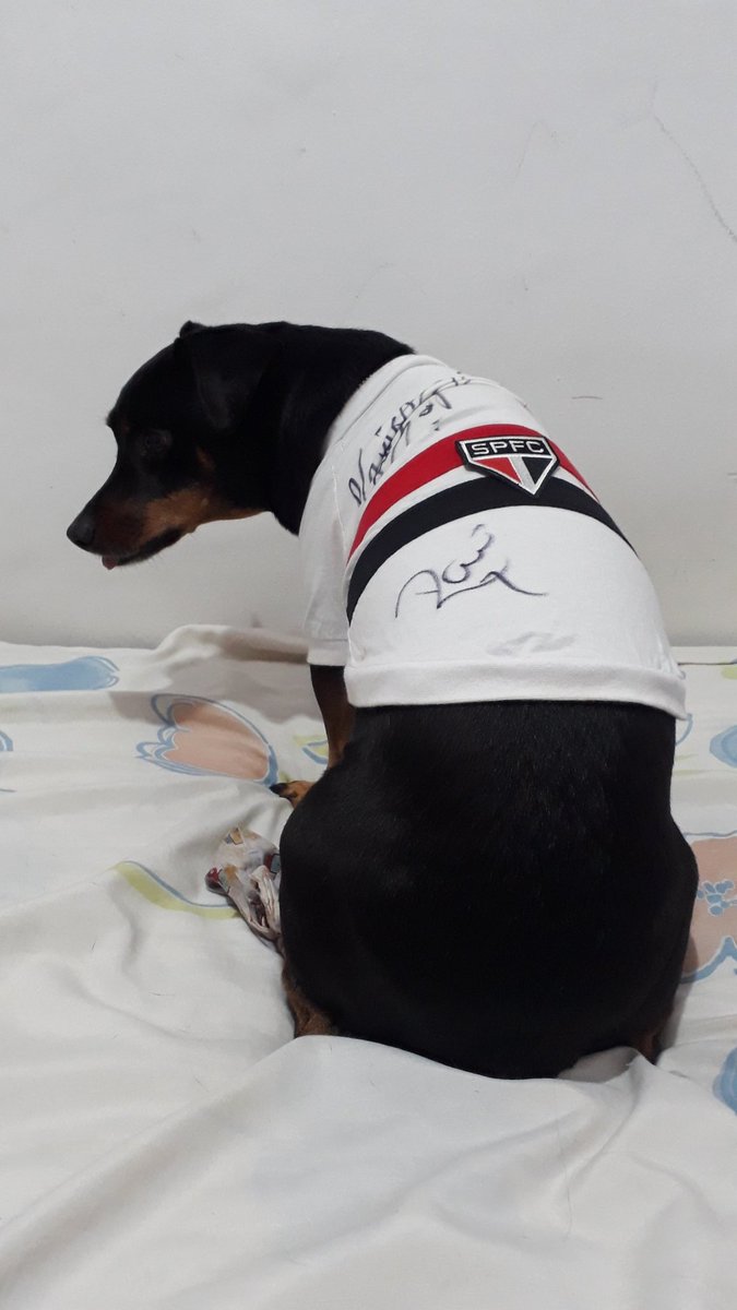 JamilaCastro's tweet photo. @SaoPauloFC Avante meu tricolor!!! https://t.co/V5WokaAzDp