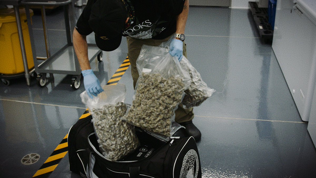 We've never chosen AAAA product based on COAs and we don't expect to - EVER. Don't fall for the hype people - we're coming for you, Canada. 😤 🤞

Bred by culture. Crafted with quality. 

The Legacy Market™

thelegacymarket.ca