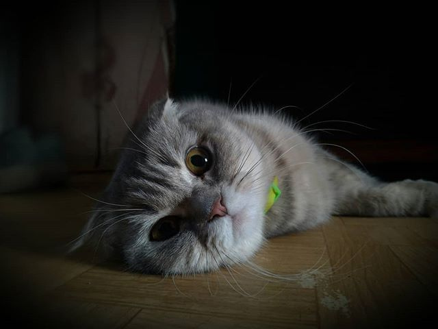 GlavPoh's tweet photo. https://t.co/uZhniu2rSo