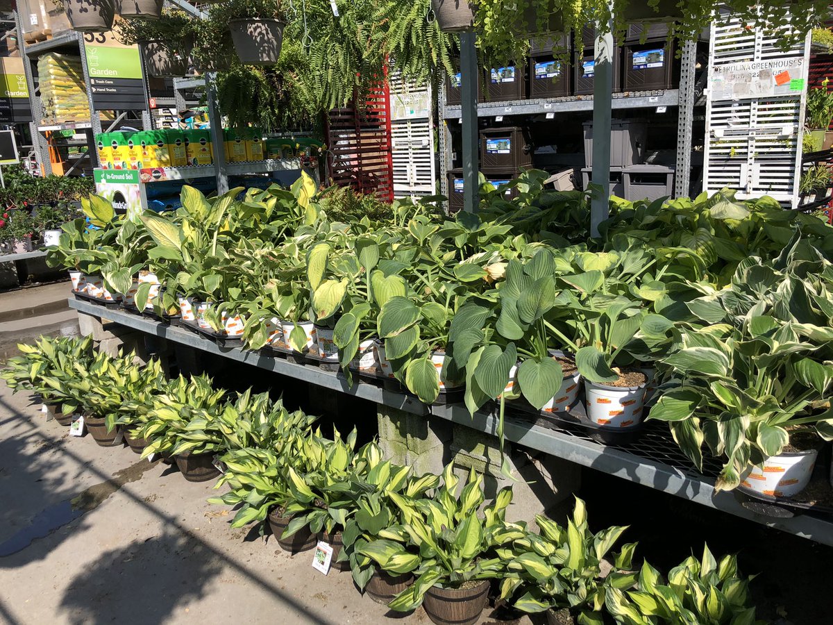 Mstongepps1's tweet photo. Hd 1115  very busy day  here in Bluffton, SC tables are loaded  and are being shopped, doesn’t look like 92* is stopping many customers https://t.co/eV19L9jWHS