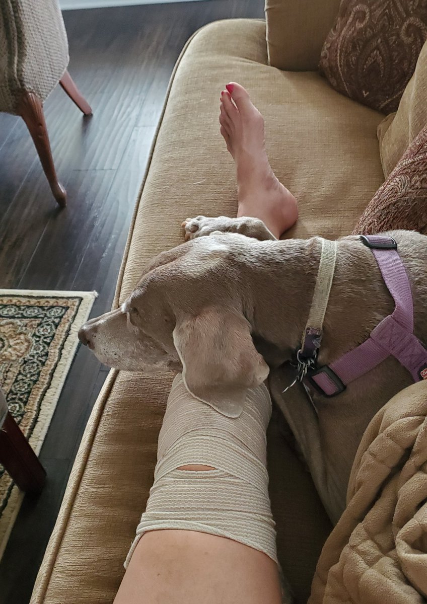 Bonnie Blue and Zoe tweet media