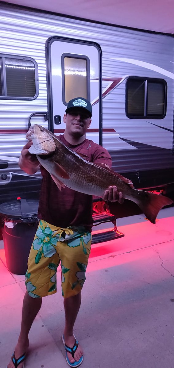 MysteryTackleBx's tweet photo. This 29in red was caught in Corpus Christi. I really need to head on down there...
#CommunityCatch
📸 | Frankie G. in Fishing Free-For-All https://t.co/HG7UTmUHWz