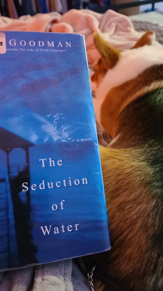 erudite_monster's tweet photo. Reading all day; want to finish this book https://t.co/1xfiMCKkLc