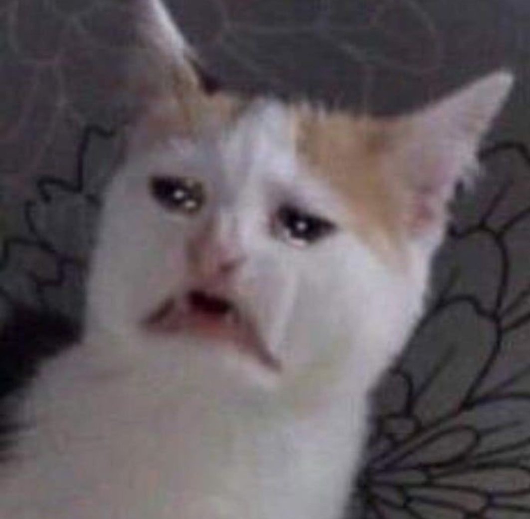 fatmaaerbll's tweet photo. 🥺🥺 https://t.co/cGFJz5Swqf