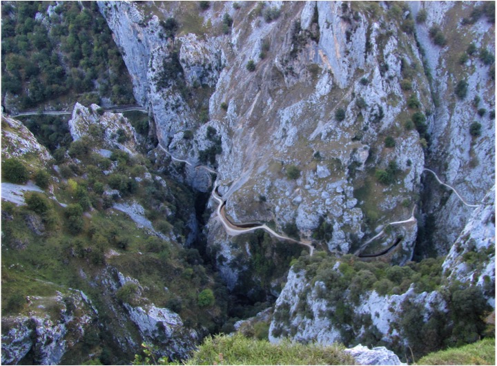 La Ruta del Cares

Sara Estrada y Ana Moro

lajueya.net/index.php/2021…