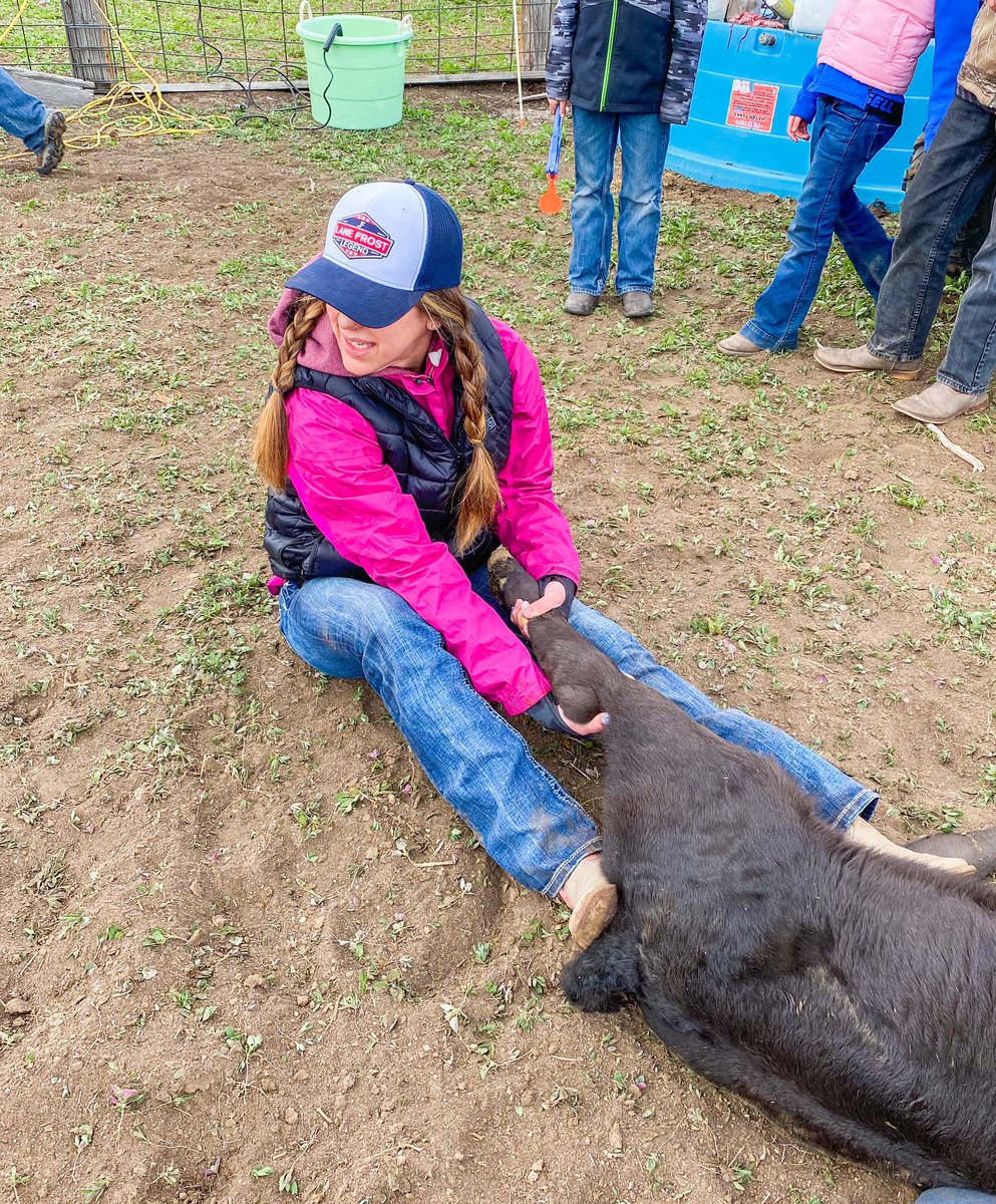 Prairie Wife tweet media