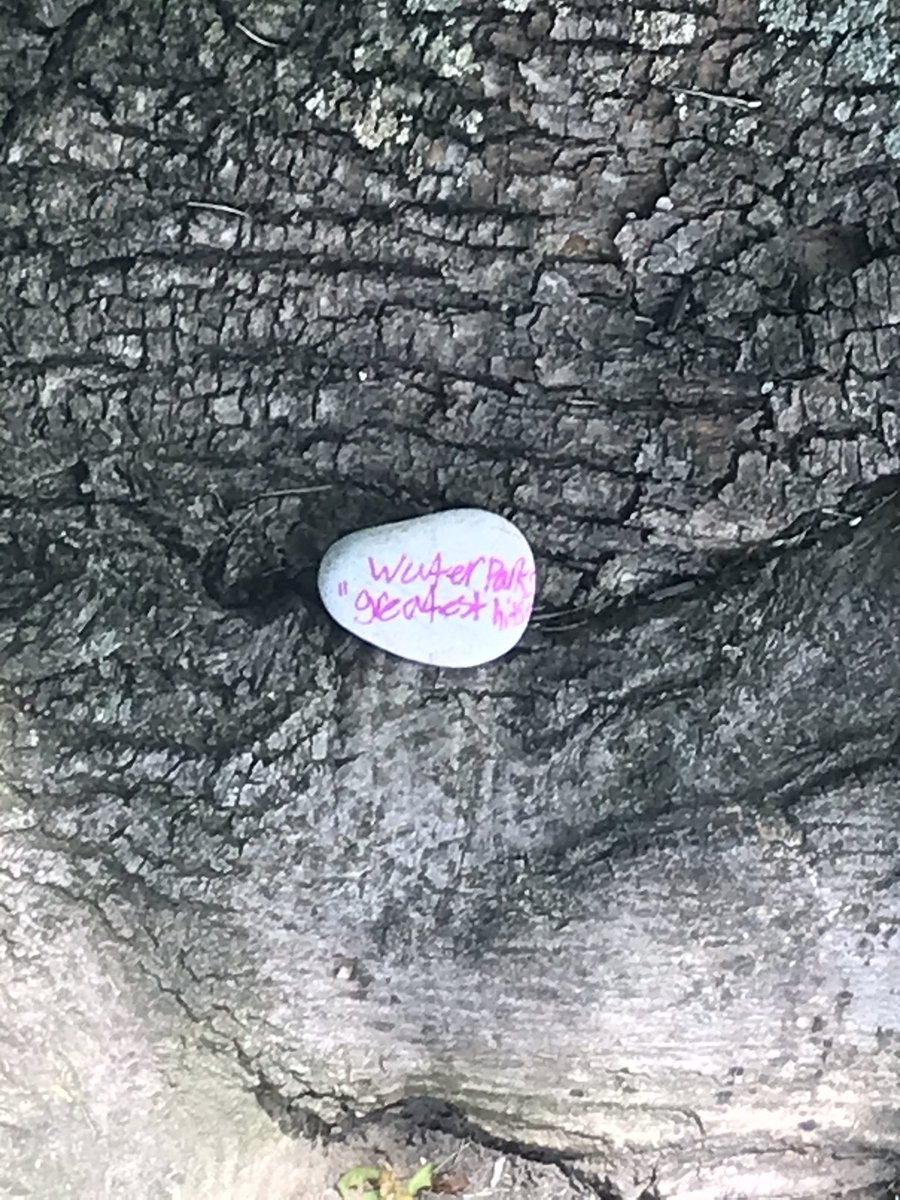IowkeyasheIl's tweet photo. okay so i painted rocks and scattered them around my neighborhood! gonna do more tomorrow #TeamSnowGlobe #GreatestHits https://t.co/ujhTl99m5x