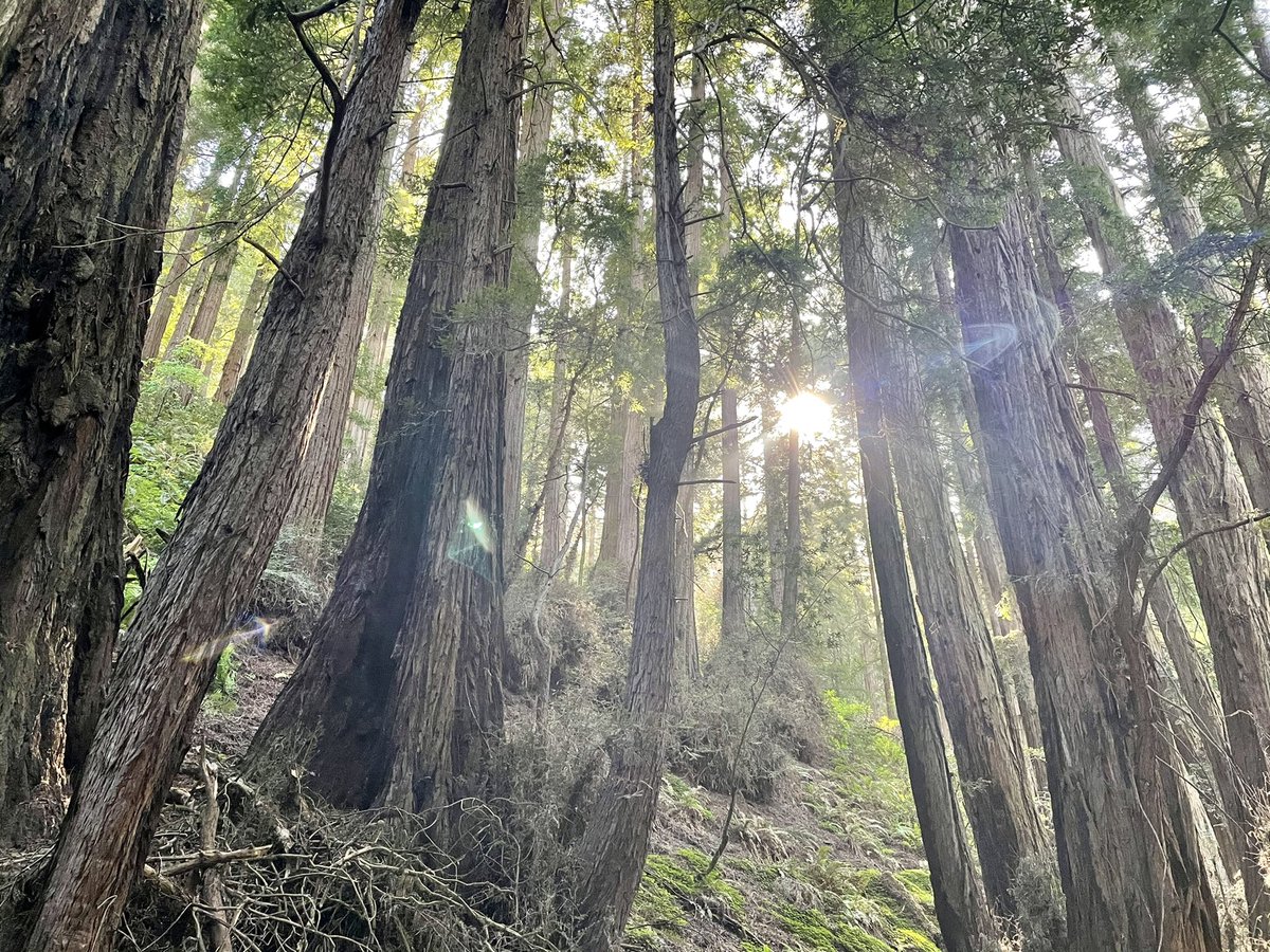 Simón Macadar | saimonmac.btc tweet media