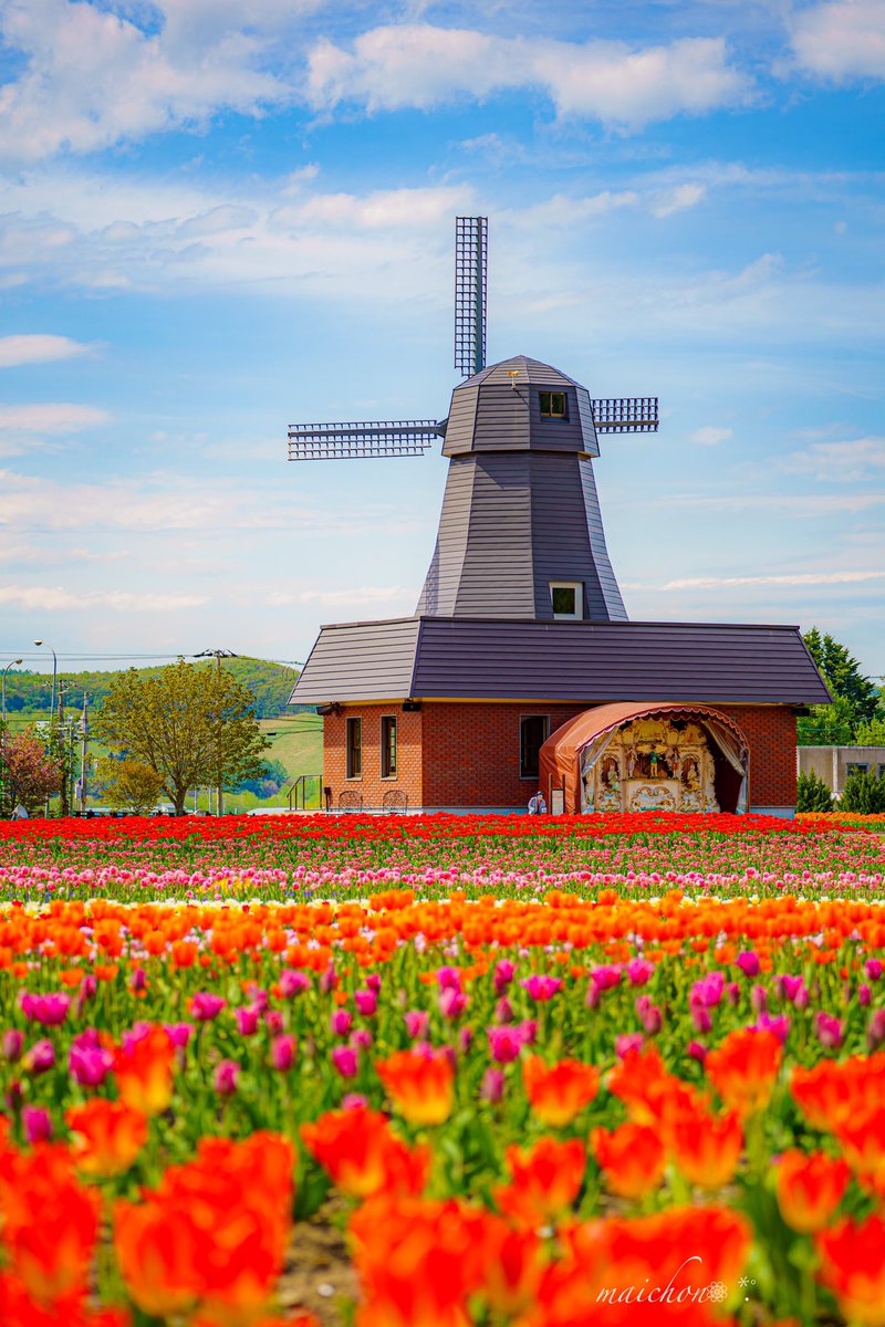 上湧別 Twitter Suche