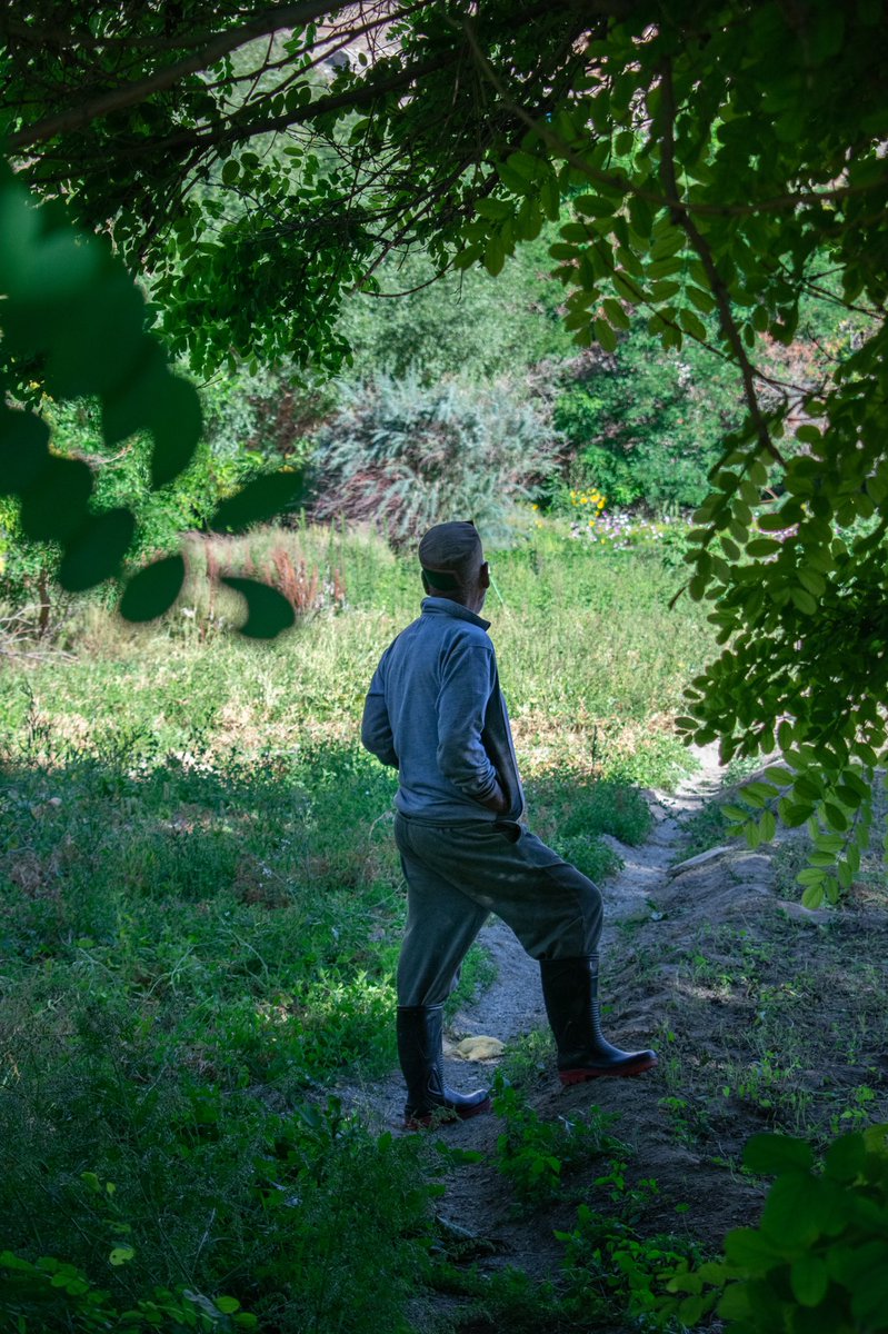 iPradeepSangwan's tweet photo. It took him two decade to create a 90 hectare forest in cold desert of upper Kinnaur

“I am a farmer’s son and I believe in traditional wisdom”-Mr. A D Negi ji 

Rest in peace sir Anand Dhawaj negi, we will carry forward your legacy 

See his story here
https://t.co/O9yRS7UsfN https://t.co/oe4ZMT6kiX